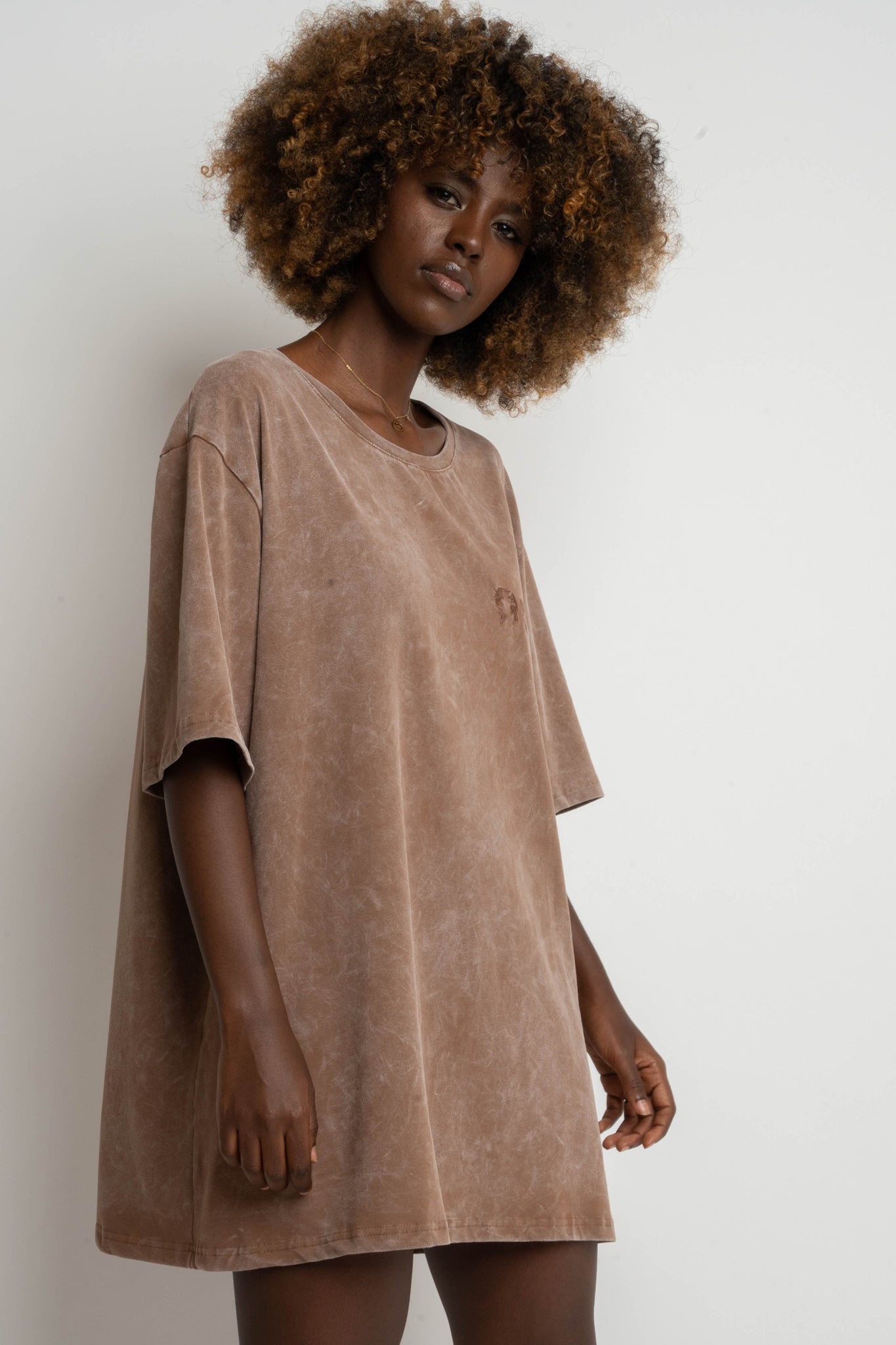 WOMEN'S T-SHIRT WITH WASHED EFFECT, BROWN - ARETE