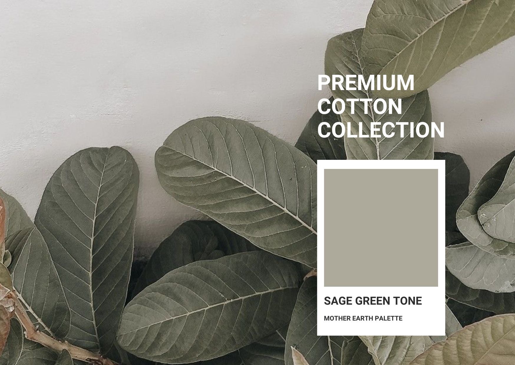 Sage Green - harmonia koloru