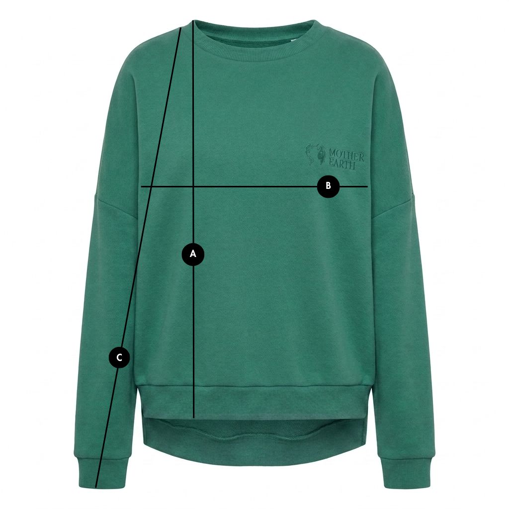 GREEN REGULAR FIT SWEATSHIRT WITH A LONGER BACK - COOK packshot