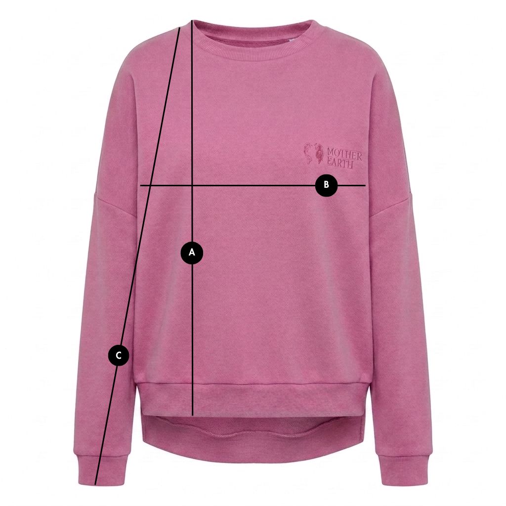 REGULAR FIT SWEATSHIRT WITH LONGER BACK - CANDY PINK packshot