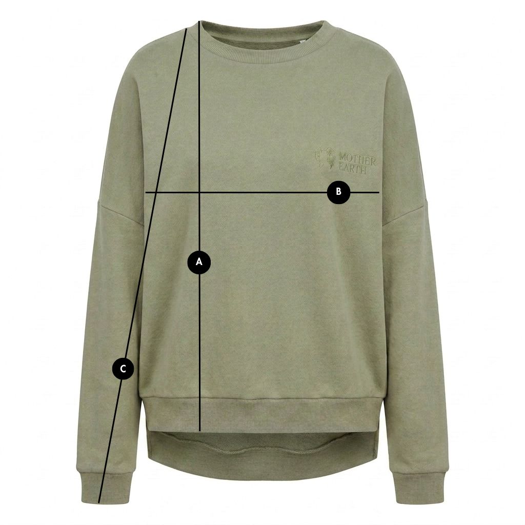 OLIVE REGULAR FIT SWEATSHIRT WITH LONGER BACK - COOK packshot