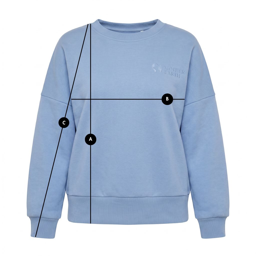 BLUE CREWNECK SWEATSHIRT - OZARK packshot