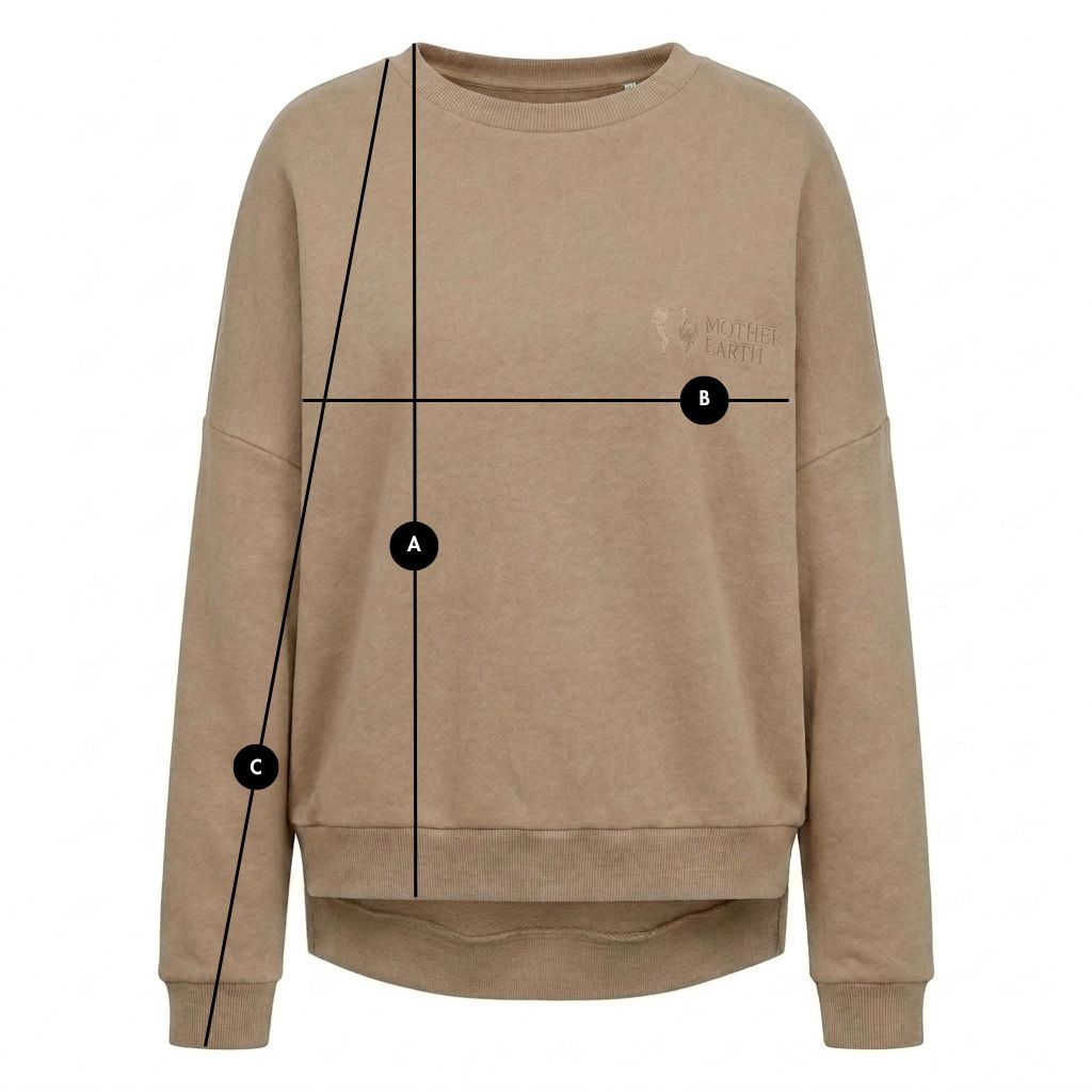 LIGHT BROWN REGULAR FIT SWEATER WITH A LONGER BACK - COOK packshot