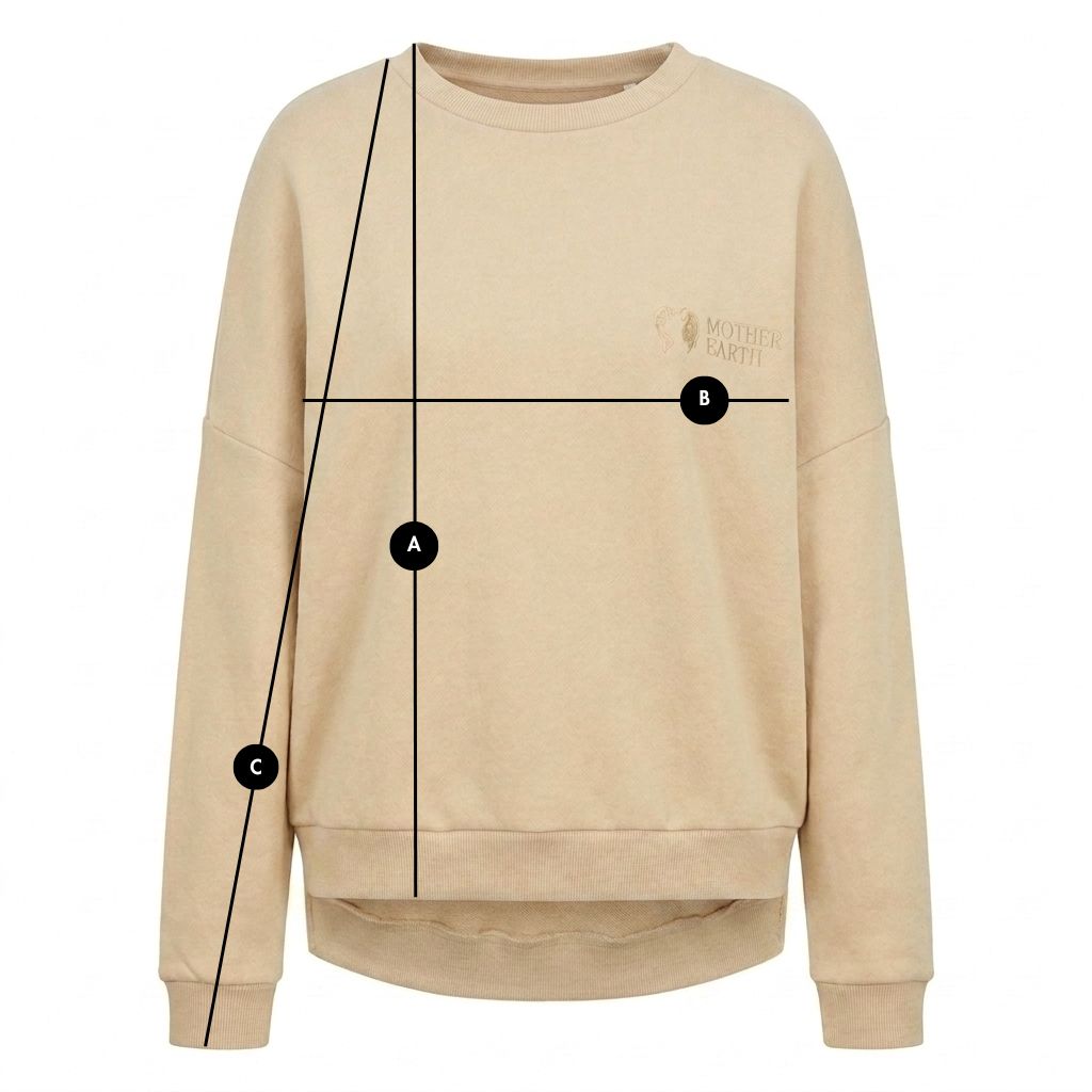 LIGHT BEIGE REGULAR FIT SWEATSHIRT WITH A LONGER BACK - COOK packshot