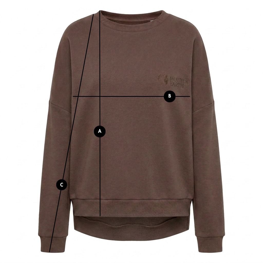 REGULAR FIT SWEATSHIRT WITH LONGER BACK CAPPUCCINO- COOK packshot