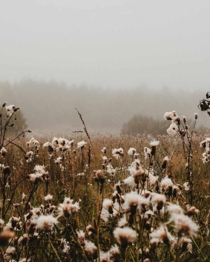 ECO STORY – wszystko co stoi za metką